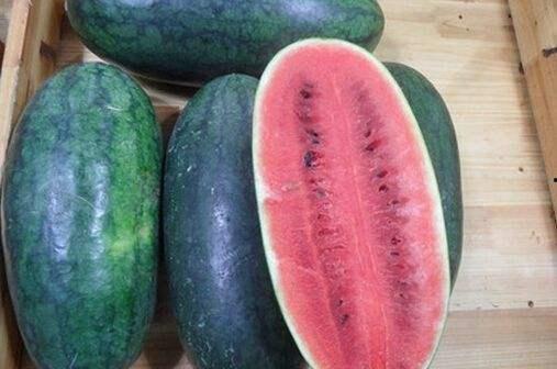 朝阳黑料 爆料网吃瓜黑料反差入口