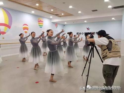 独家爆料艺术学校极品舞蹈生 独家爆料是什么意思,极品舞蹈生背后的独家爆料