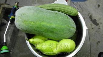 今日吃瓜热门大瓜每日更新51.反差,揭秘娱乐圈明星的另类生活